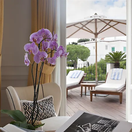 جيه كيه بليس كابري