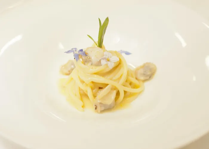 جيه كيه بليس فندق كابري