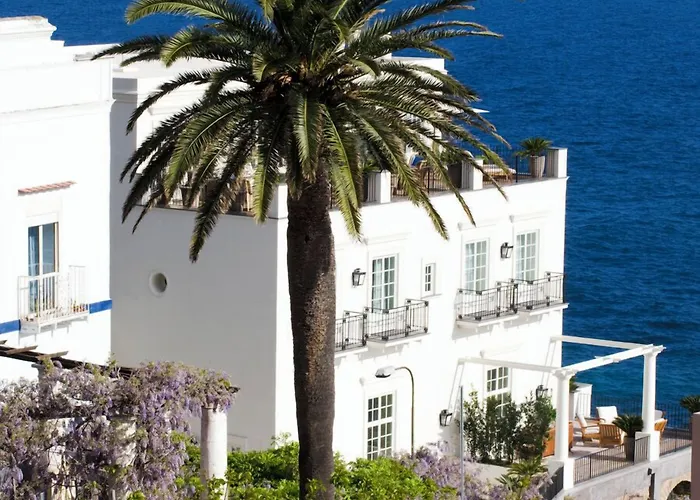 جيه كيه بليس كابري